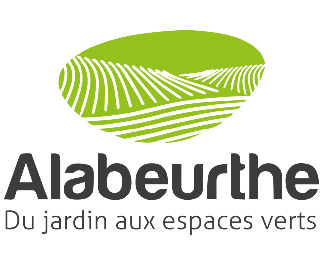 Elagueuse thermique STIHL - Alabeurthe : Du Jardin aux Espaces Verts