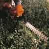 Taille Haie Stihl HS45 – Image 2