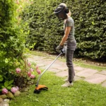 Coupe bordure thermique STIHL FS 38 — image 2