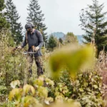 Débroussailleuse thermique STIHL FS 131 — image 3