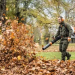 Souffleur à dos thermique STIHL BR 800 C-E — image 5