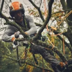 Scie à batterie STIHL GTA 40 Pack Batteries et chargeur — image 4