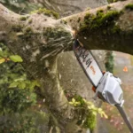 Perche d’élagage à batterie STIHL HTA 160 nue — image 3