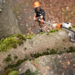 Perche d’élagage à batterie STIHL HTA 160 nue — image 4