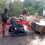 MICRO-BULL PROII 200 – 23 ch — image 3