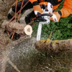 Tronçonneuse élagueuse thermique STIHL MS 201 TC-M — image 3