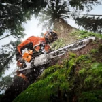 Tronçonneuse thermique STIHL MS 500i ES LIGHT — image 6