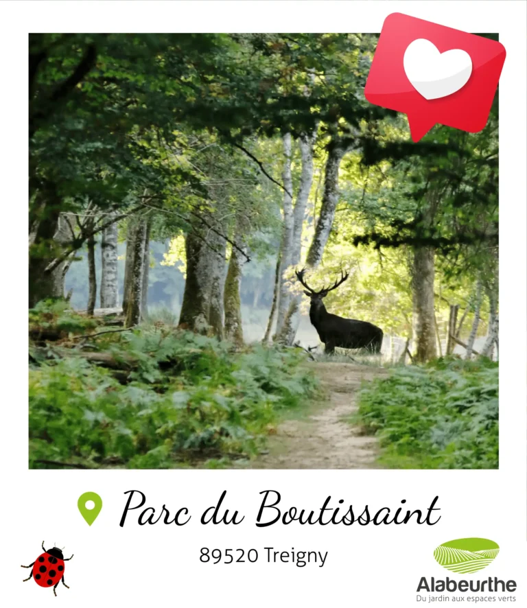 parc-boutissaint