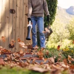 Souffleur à batterie STIHL BGA 30 Pack Batterie et chargeur — image 6