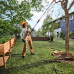 Perche d’élagage à batterie STIHL HTA 30 Pack — image 4