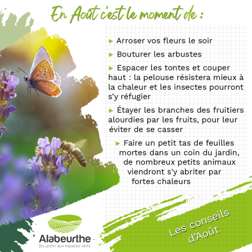 Conseils AOUT 2023_Plan de travail 1