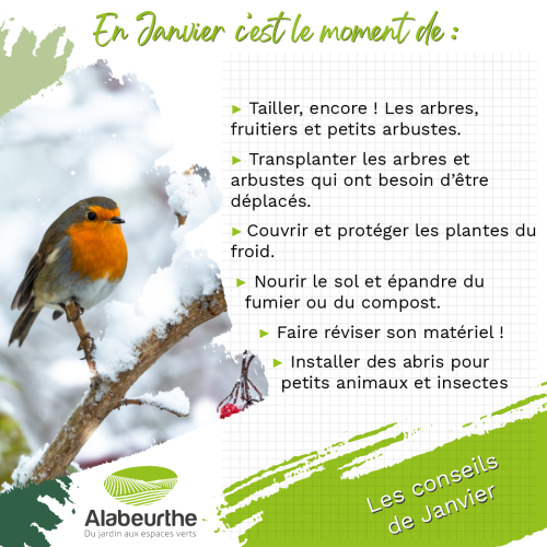 conseils janvier 2023_Plan de travail 1